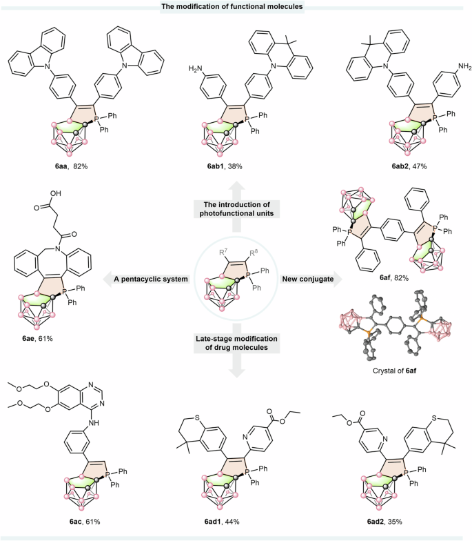 Fig. 4: The modification of functional molecules.