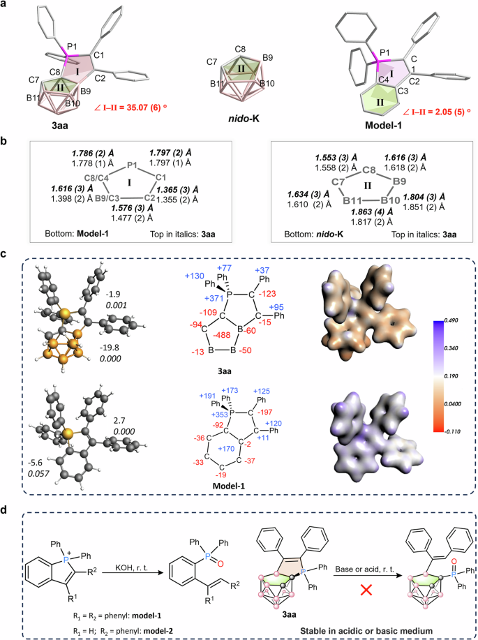 Fig. 5: Structural investigations.