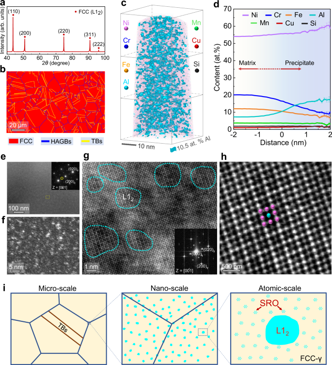 Fig. 1: Structural characterization of the aged MCA (aged at 723 K for 72 h after annealing at 1223 K for 3 min).