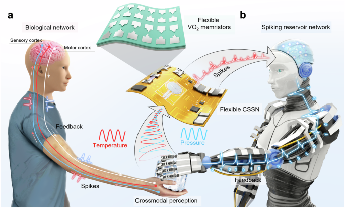 Fig. 1: Bio-inspired crossmodal intelligent in-sensor computing system.