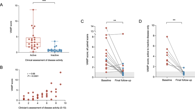Fig. 6: Using the VAMP score to assess disease activity in LVV.