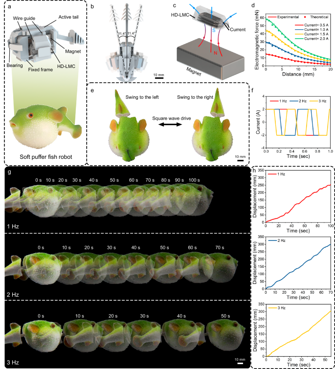 Fig. 4: Bionic pufferfish with electromagnetic actuator using 3D Curved High-Density Liquid Metal Coils (HD-LMC) integrated unit.