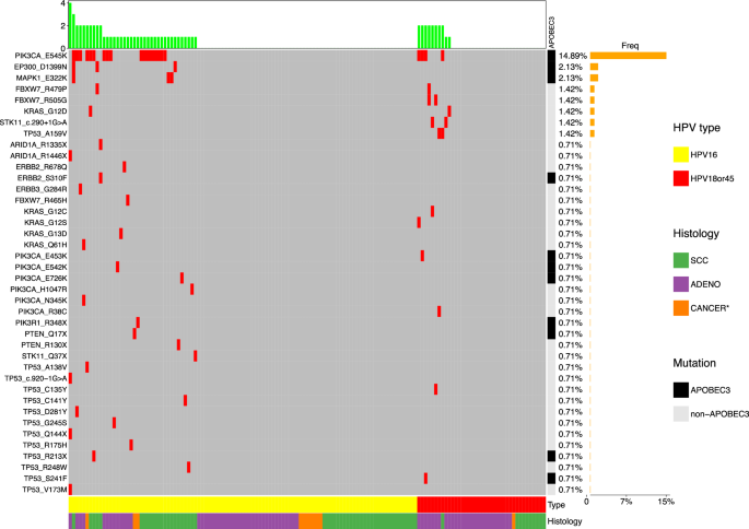 Fig. 3: Frequency of individual hotspot mutations in the ICC cases by HPV type and histology.