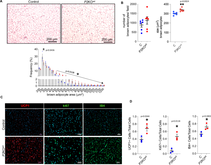 phd with roche figure 4