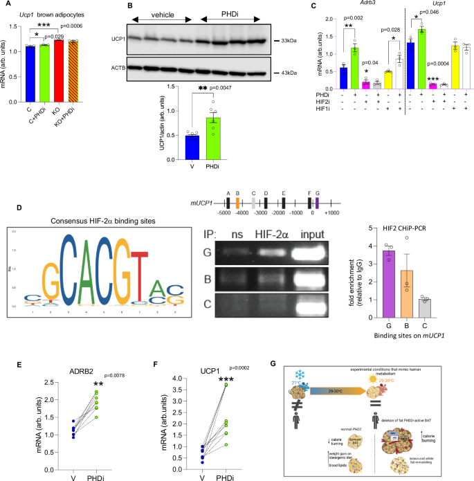 phd with roche figure 7