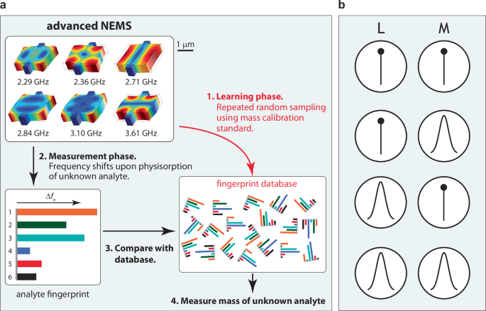 新しいフィンガープリント質量分析法がプロテオーム解明に道を開く(New Fingerprint Mass Spectrometry Method Paves the Way to Solving the Proteome)