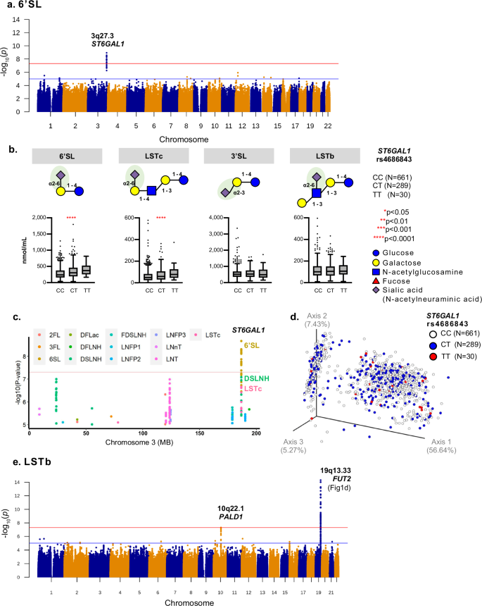 Fig. 3: Novel HMO-associated loci in ST6GAL1 and PALD1 genes among lactating mothers of the CHILD Cohort Study.