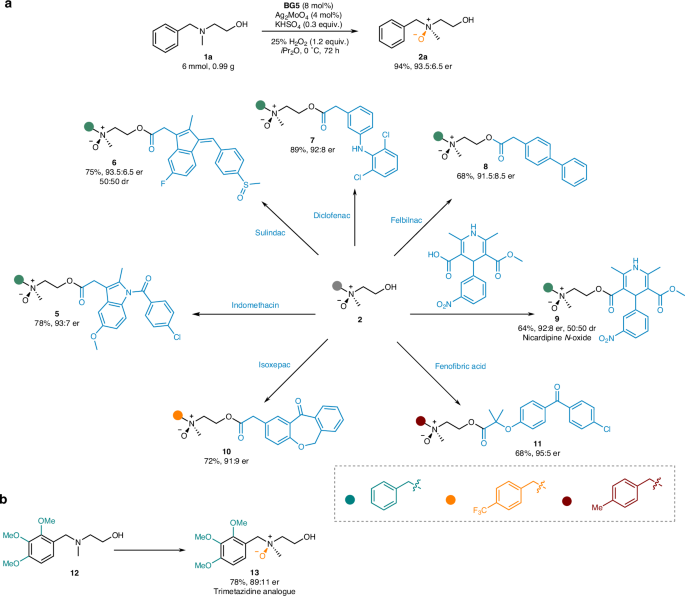 Fig. 4: Further transformation of N-oxides.