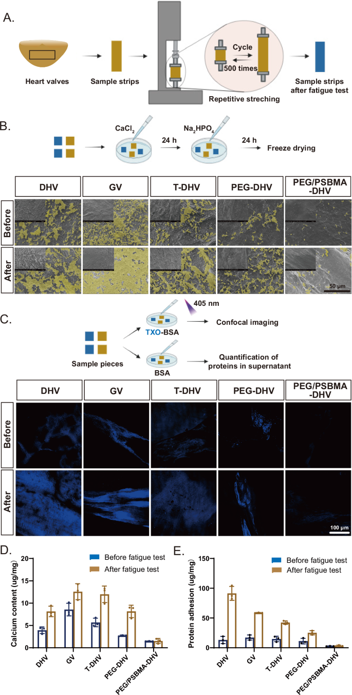 Fig. 4: Evaluation of durable anti-calcification and anti-fouling property.