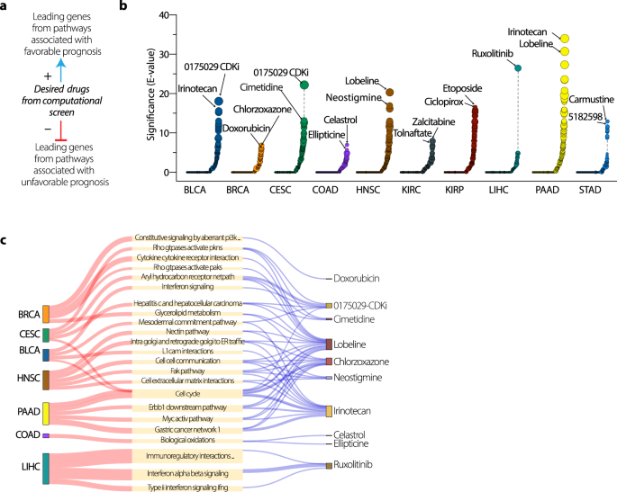 Fig. 4: PET-derived prognostic pathways guide drug repurposing.