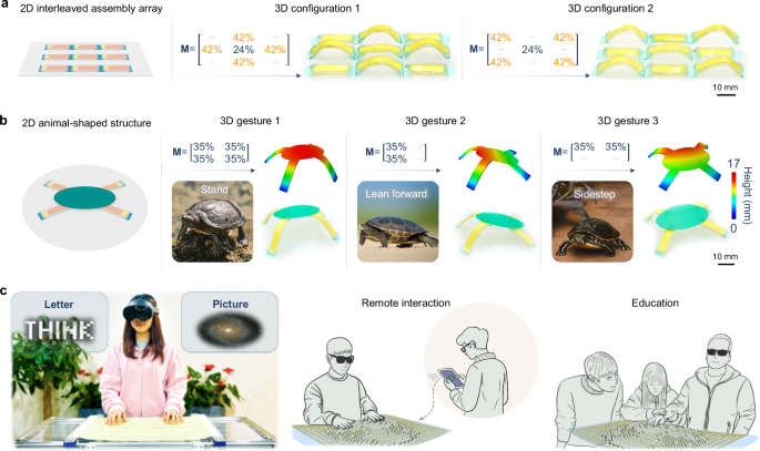 Fig. 2: Dynamically refreshable 3D structures enabled through a spatiotemporal buckling design strategy.