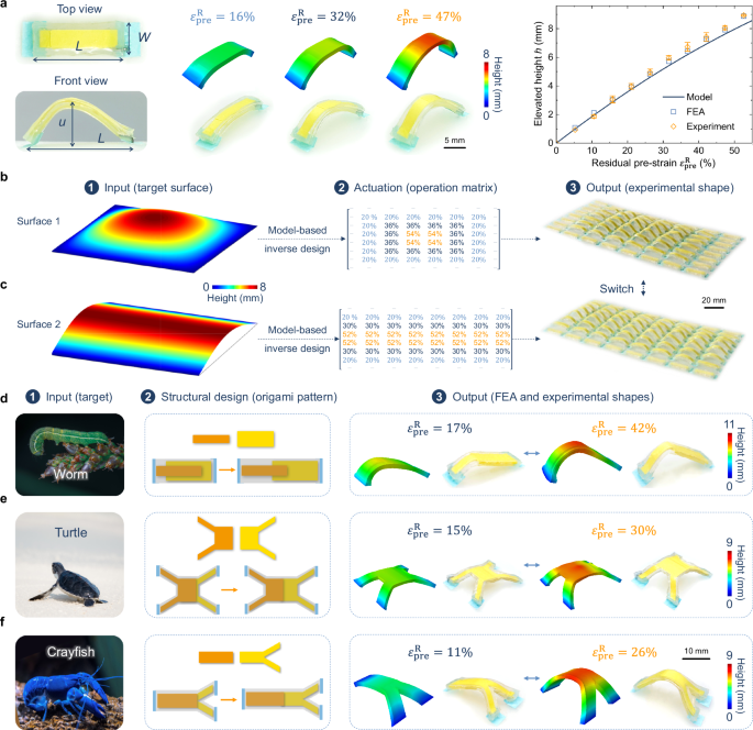 Fig. 3: Inverse design for complex 3D structures.