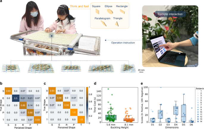 Fig. 7: User study on the dynamic 3D metasurface device for assisting visually impaired individuals.