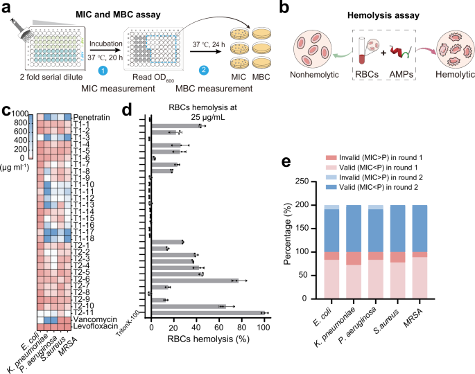 Fig. 3: Antimicrobial and hemolytic activities of candidate AMPs.