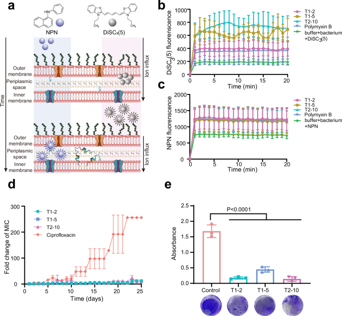 Fig. 5: Mechanism of action studies and resistance development of candidate peptides.