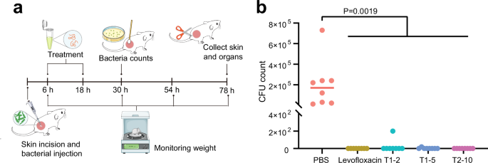 Fig. 6: Anti-infective activity of candidate peptides in vivo.
