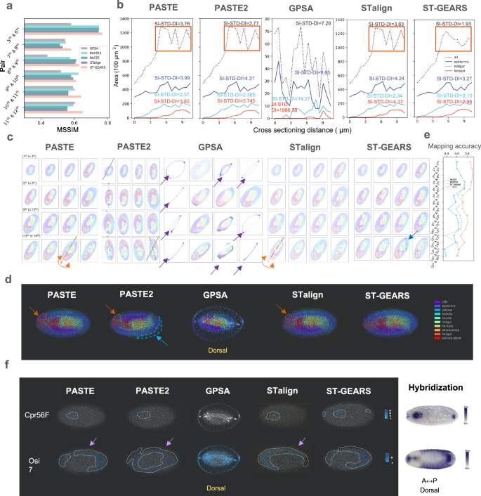 experiments vivo figure 5
