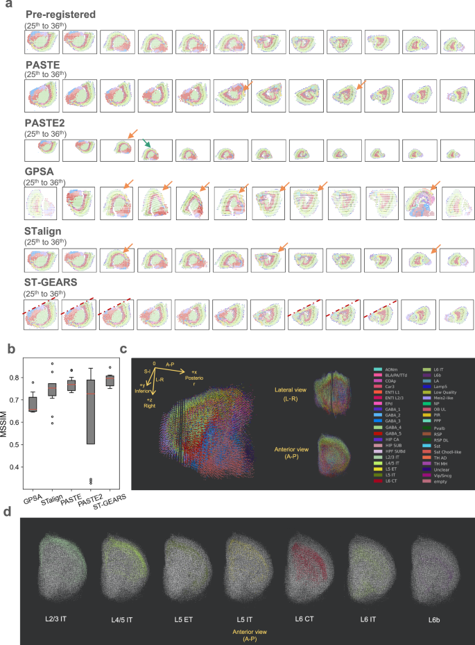 experiments vivo figure 6