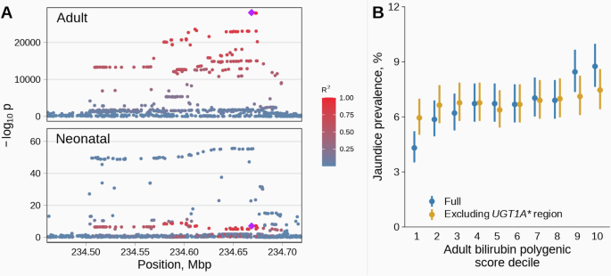Fig. 3: Neonatal jaundice effects of adult bilirubin level variants and polygenic score.