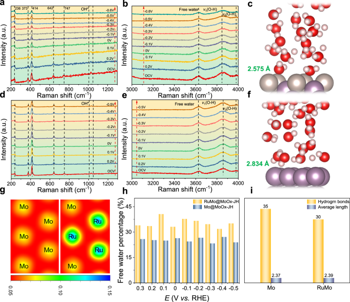 Fig. 6: Insights of HER mechanism.