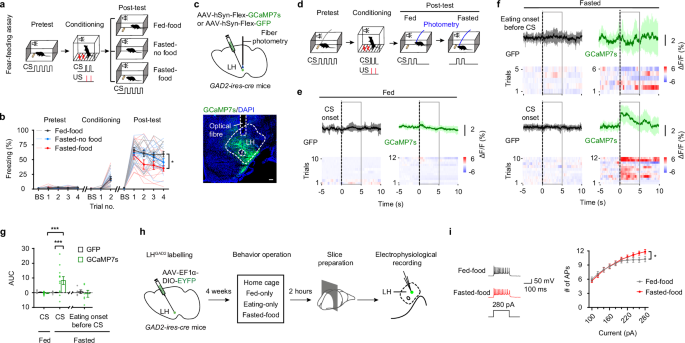 Fig. 1: Consumption-induced freezing regulation with LHGAD2 involvement.