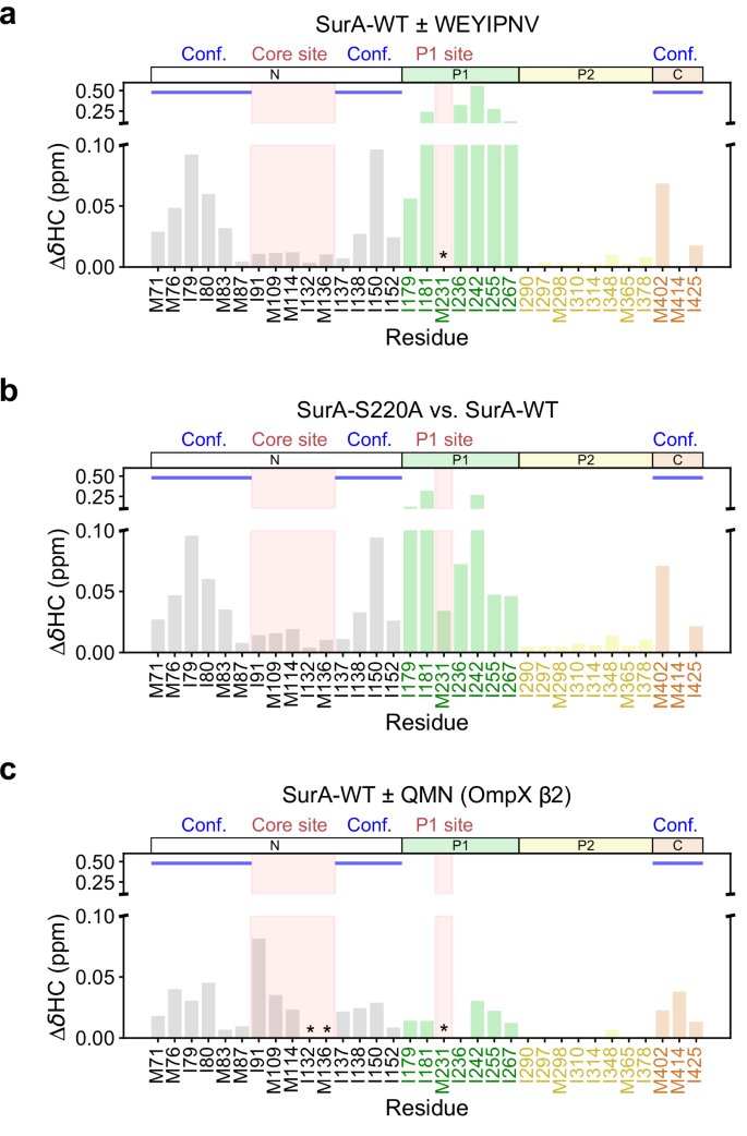 Fig. 4: Binding of an OmpX-derived peptide promotes core-P1 open ‘activated’ SurA.
