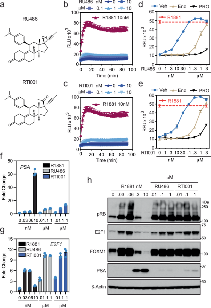 Fig. 5: Identification of AR modulators that mimic LD androgen biology.