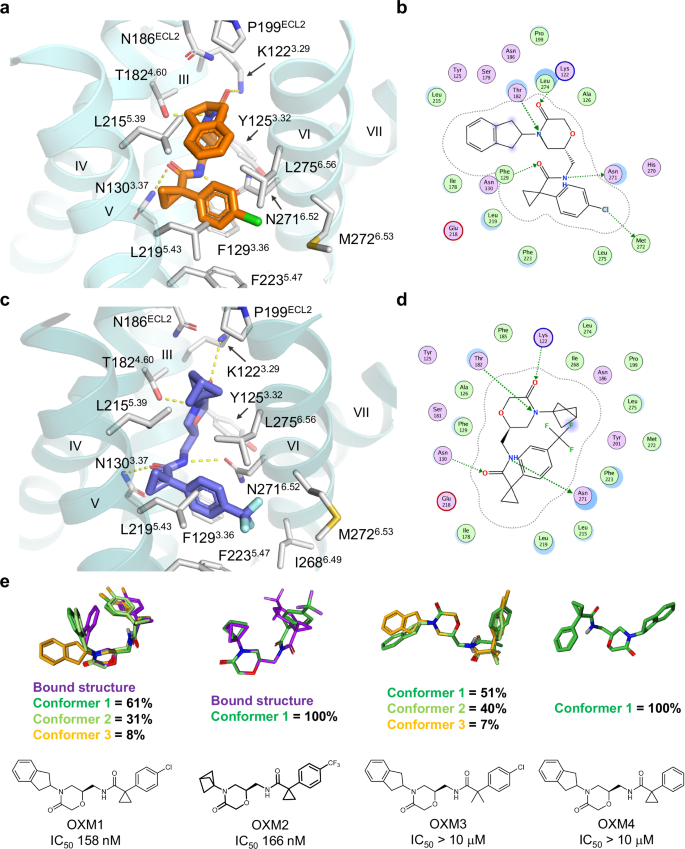 Structural basis for CCR6 modulation by allosteric antagonists 