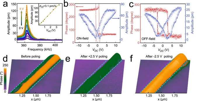 Te ferroelectric