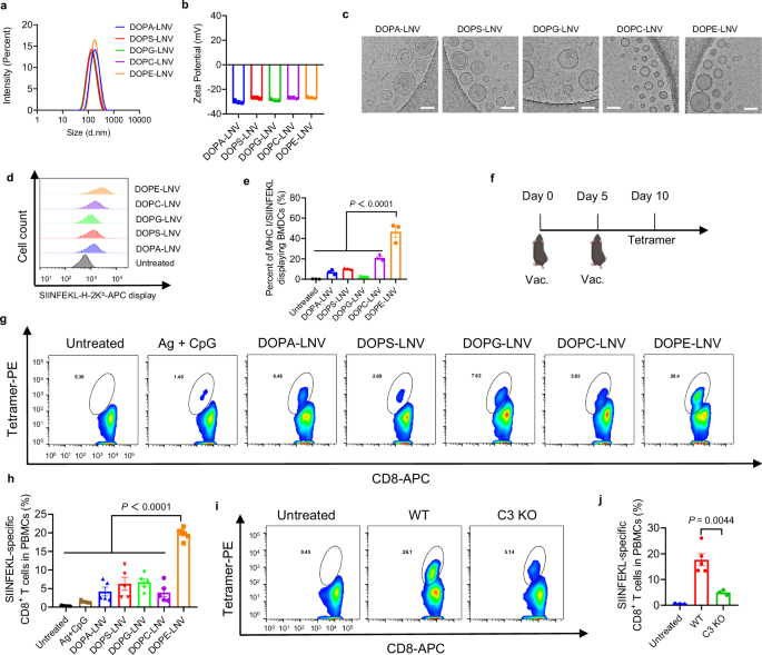 Fig. 2: LNV induces antigen-specific T cell responses in a lipid composition-dependent manner.