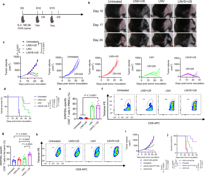 Fig. 5: LNVS exhibits a potent therapeutic effect on MC38-OVA tumor-bearing mice.