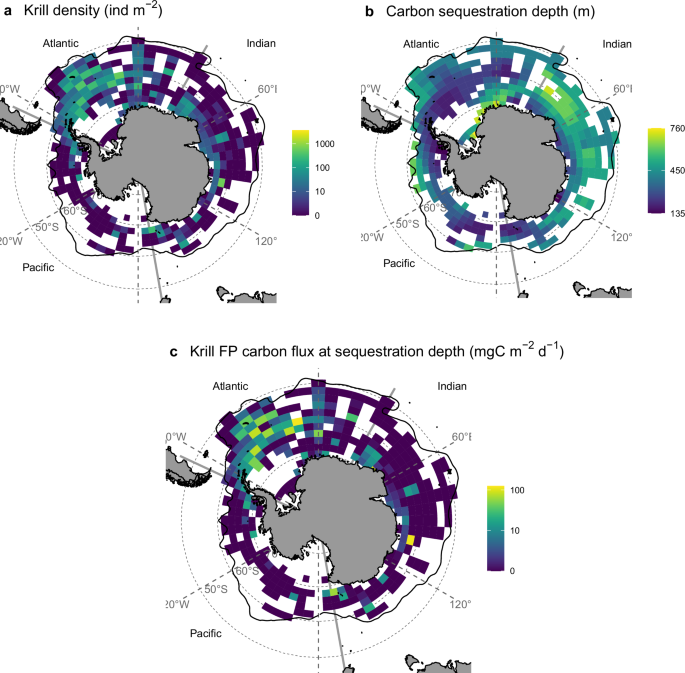南極のオキアミは海草やマングローブと同レベルの炭素を固定できる(Antarctic krill can lock away similar levels of carbon as seagrass and mangroves)