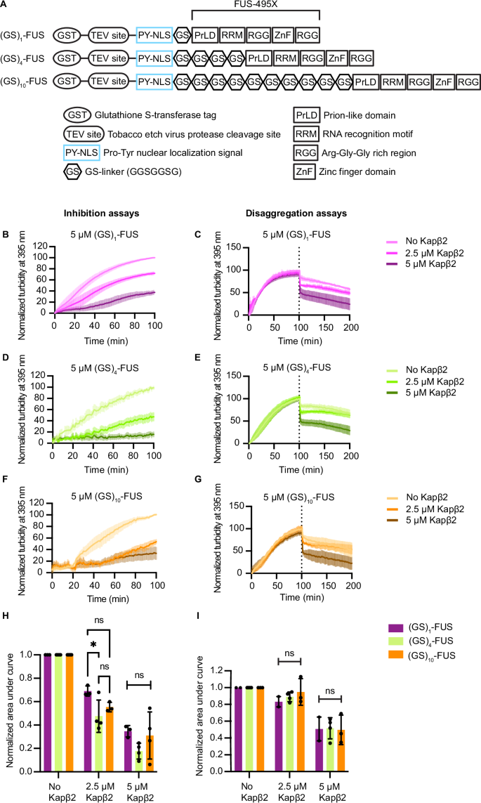 Fig. 2: Distance between NLS and aggregation domain modulates NIR chaperone activity.