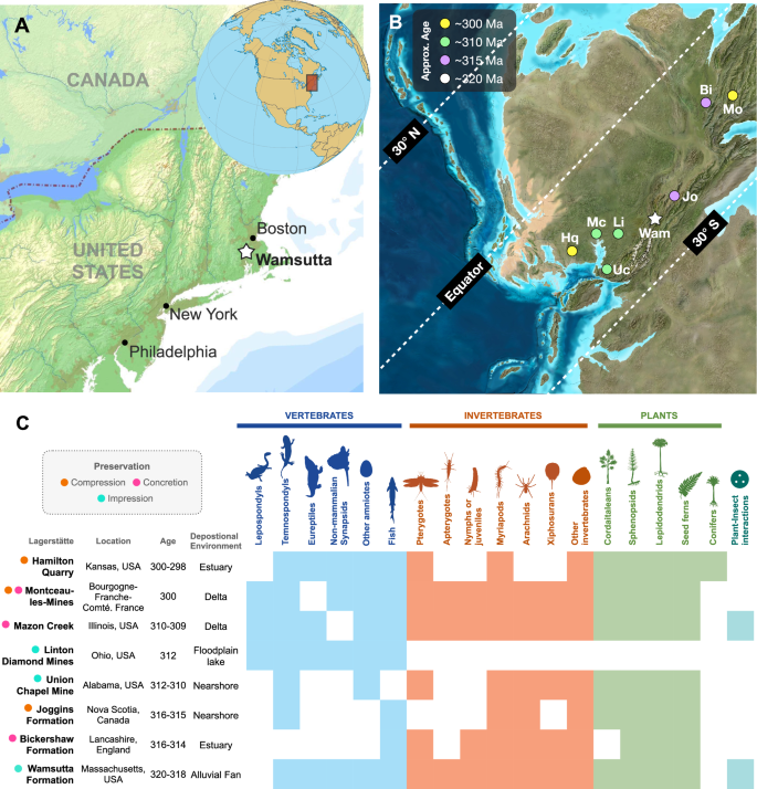 Fig. 1: Palaeogeography of the Wamsutta Formation and Comparisons of Carboniferous Terrestrial Lagerstätten.