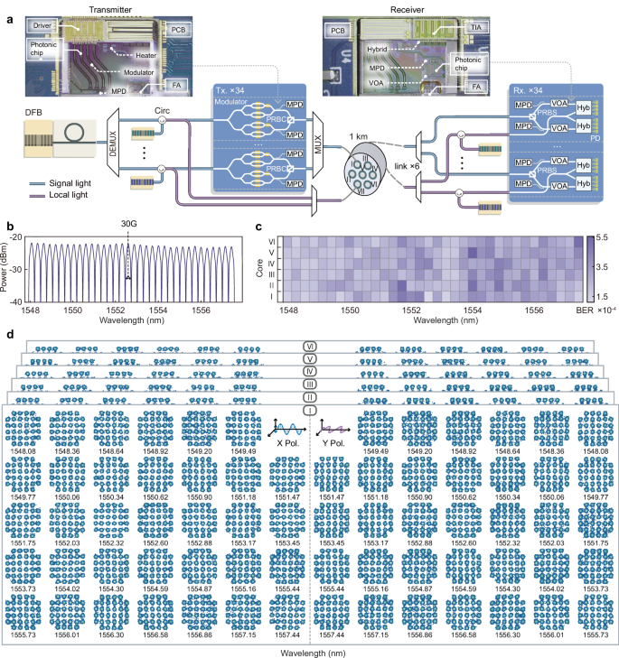 Fig. 3: Parallel coherent silicon photonic communications.