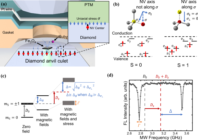 Fig. 1: Schematic geometry NV centers in the DAC.