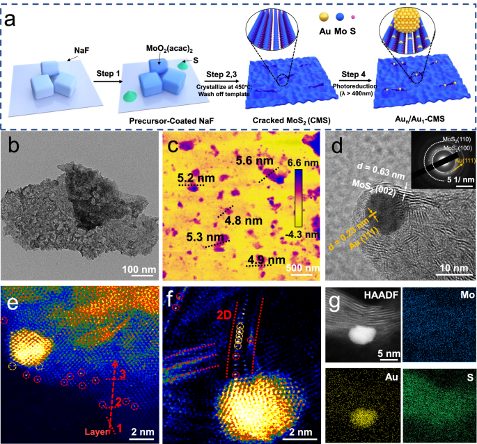 Supported Au single atoms and nanoparticles on MoS2 for highly ...