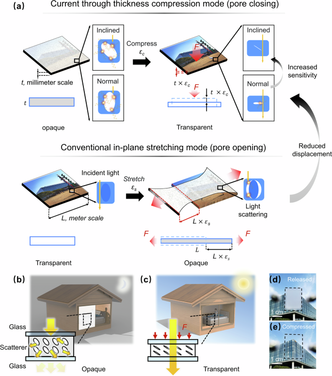 Compression-sensitive smart windows: inclined pores for dynamic 