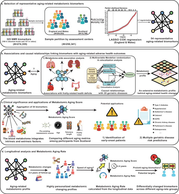 Fig. 1: Study overview.