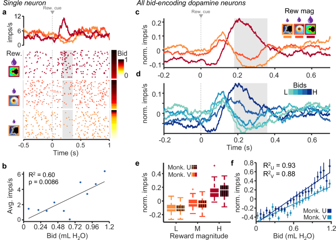 Fig. 2: Dopamine responses reflect subjective value on a trial-by-trial basis.
