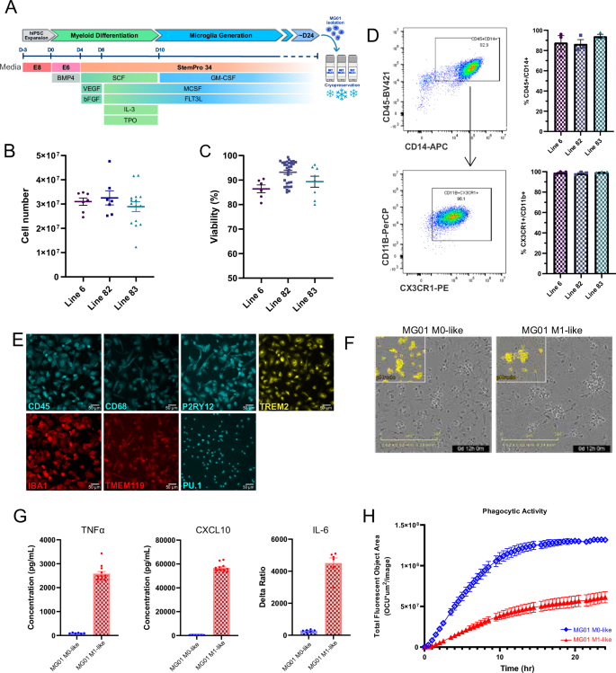 Fig. 1: Derivation and characterization of MG01.