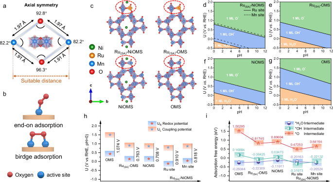 Fig. 1: Mechanistic prediction of intermediates on the catalyst surface.