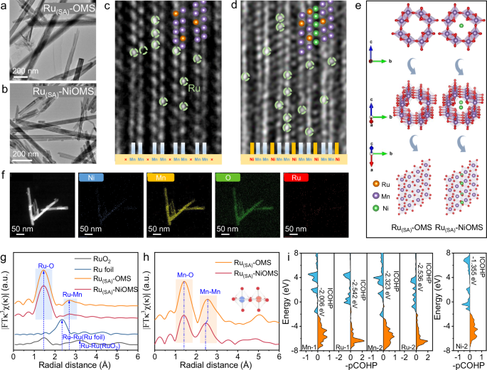 Fig. 2: Atomic structure and elemental distribution of Ru(SA)-OMS and Ru(SA)-NiOMS.