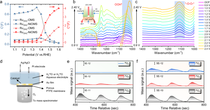 Fig. 5: Identification of acidic OER mechanism.