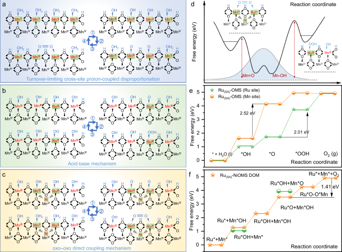 Fig. 6: Proposed mechanism for the acidic OER.