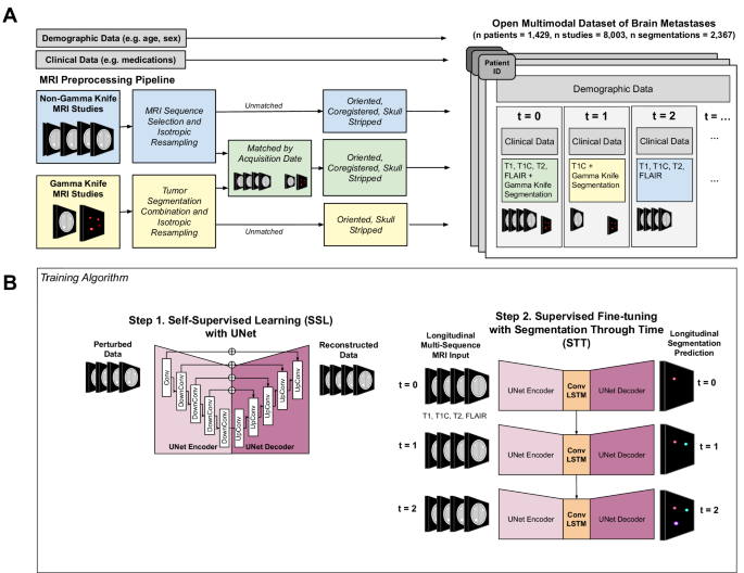 Fig. 1: The creation of the NYUMets dataset and the segmentation-through-time model for understanding cancer dynamics.