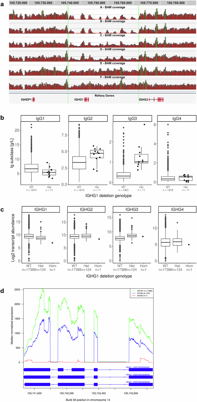 Fig. 2: Deletion of the IGHG1 gene associates with increased IgG3 levels in serum.