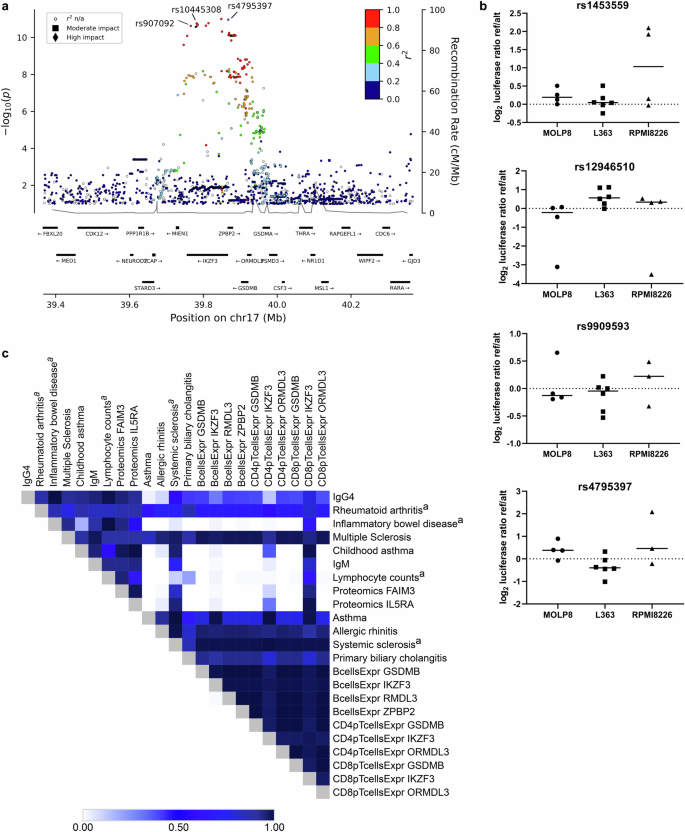Fig. 3: Pleiotropic signal at 17q21.1 associates with IgG4 and immune-related traits.
