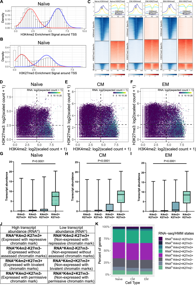 Fig. 2: Diverse patterns of histone mark patterns and transcript abundance can be identified in CD8 + T cell subsets.