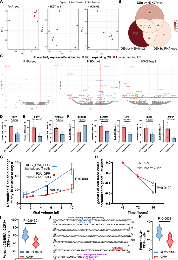 Fig. 8: Epigenomic marks in LBCL patient CM-derived CAR-T associated with in vivo accumulation of CAR-T after adoptive transfer.